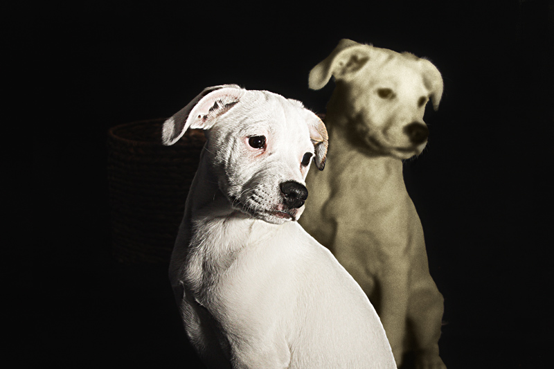 eva2k0_857429-Edit-Edit-Edit-Edit-Edit.jpg