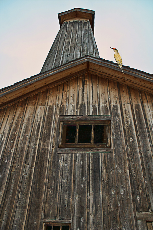 bmartuch_857433-Edit-Edit-2.jpg
