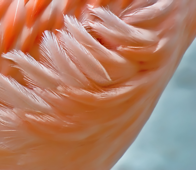 Ja_9_857397-Edit.jpg