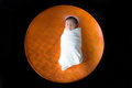 Modern Newborn