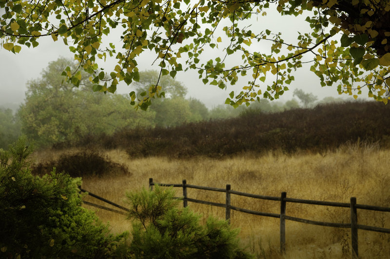Country Fall Morning