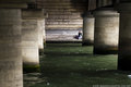 Under Pont Iena
