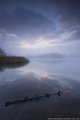 Tranquil Morning