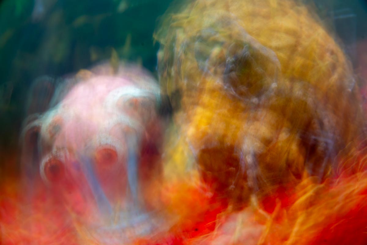Abstract (4 of 7)