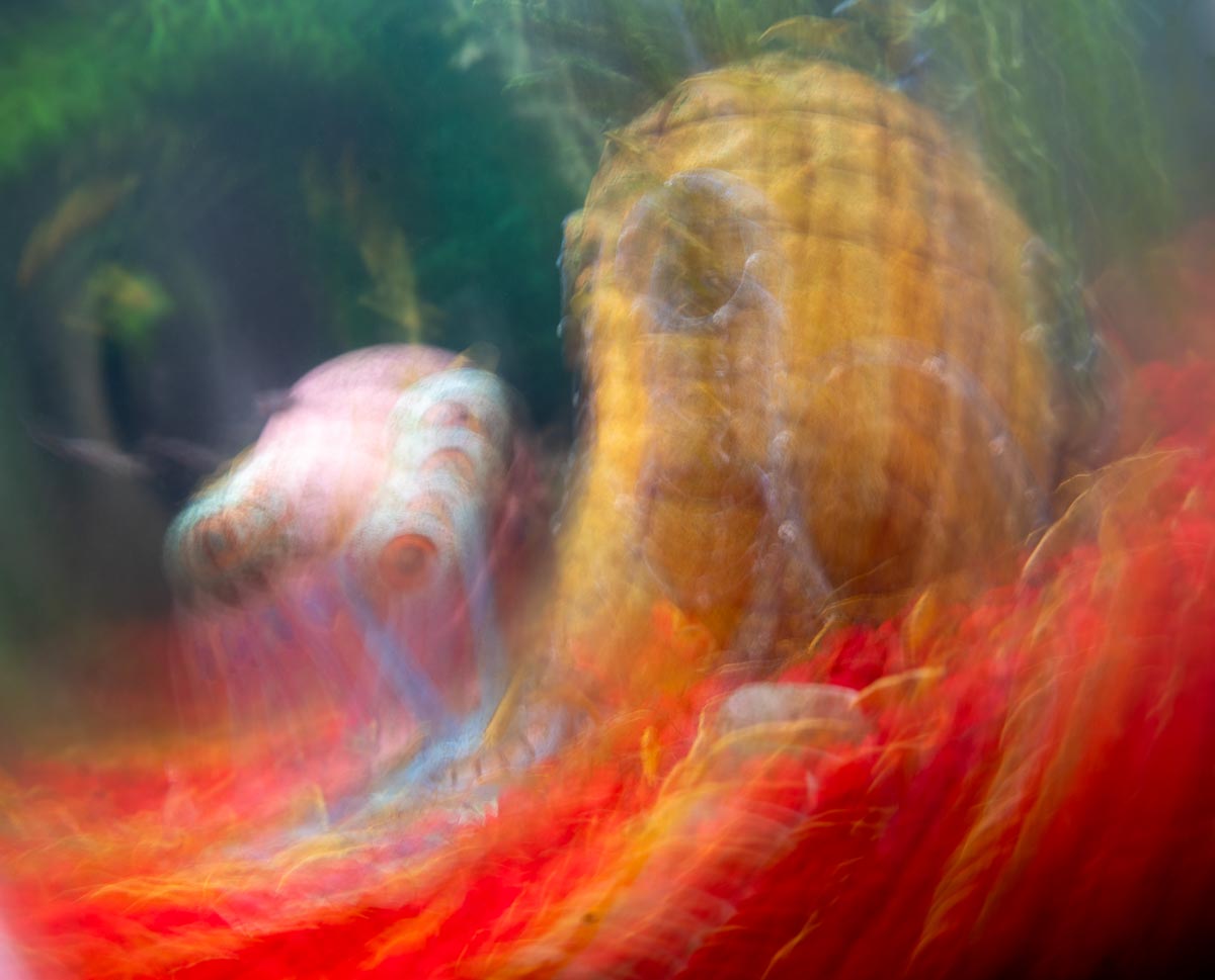 Abstract (5 of 7)