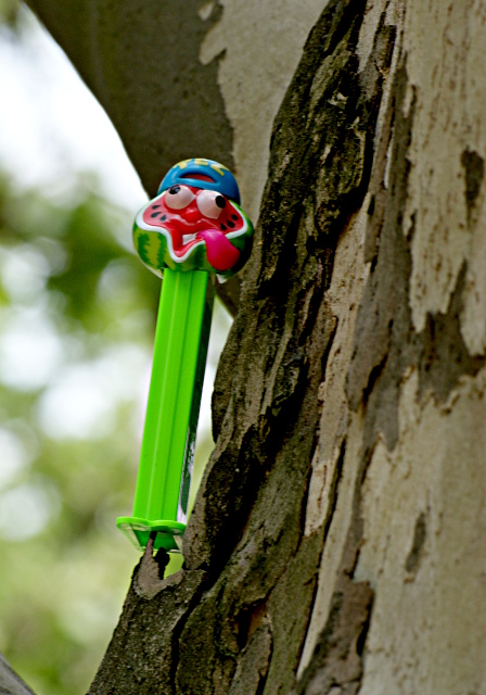 8: Sour Watermelon Performs Extreme Tree Climbing