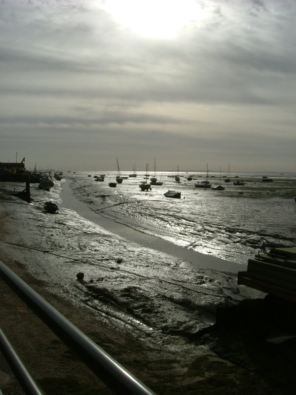 DSCF1449.JPG