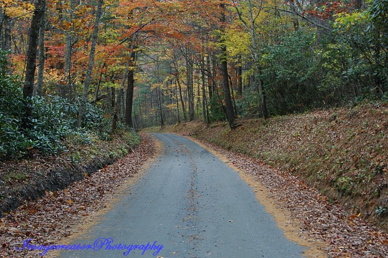 Road less Traveled13.jpg