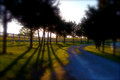 Evening Dream