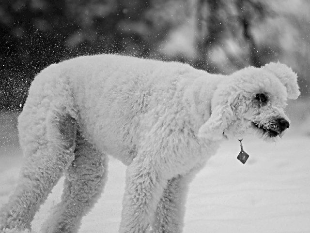 BRRRRRR!