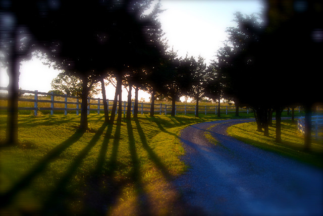 Evening Dream
