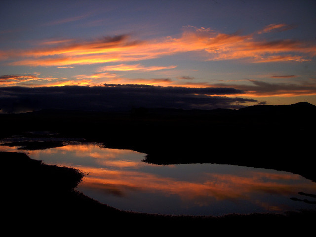 Reflections of the Day