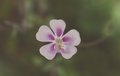 film_small-10