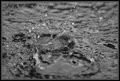 water-splashes 2 in bw
