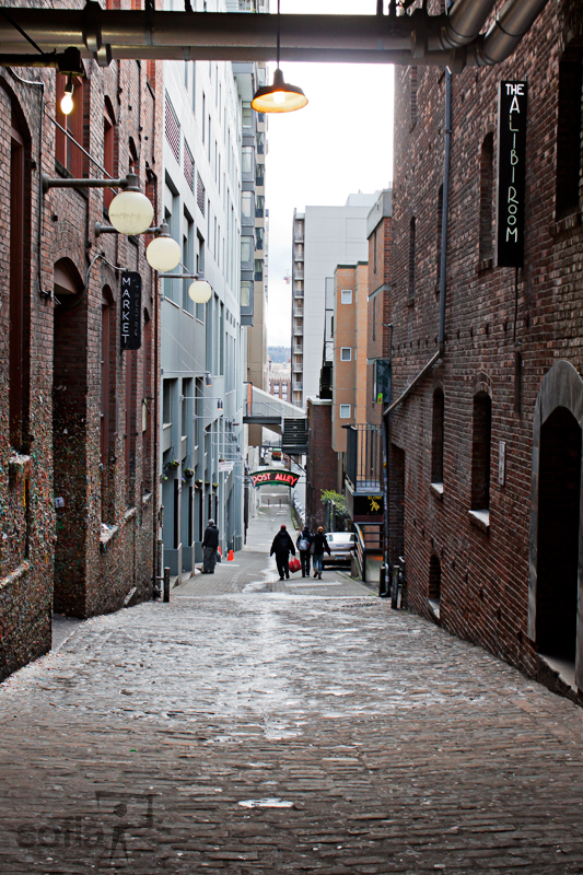 _MG_6232_edit