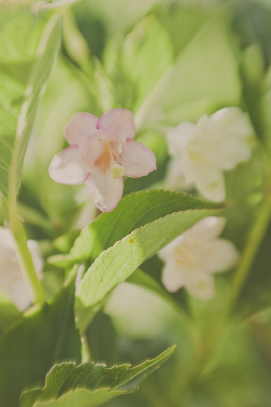 film_small-4