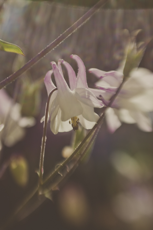 film_small-8