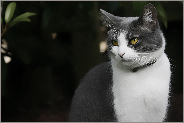 princess-in-the-garden