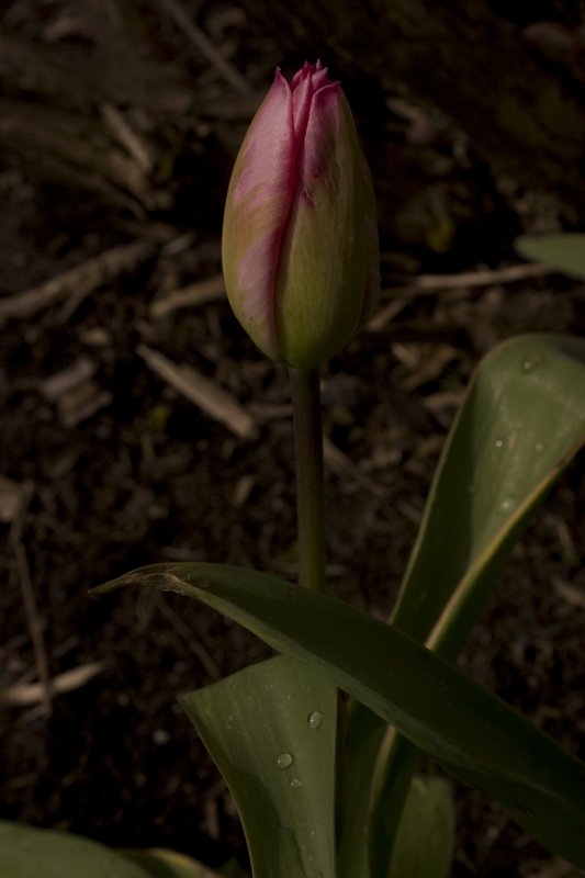 CRW_0115.jpg