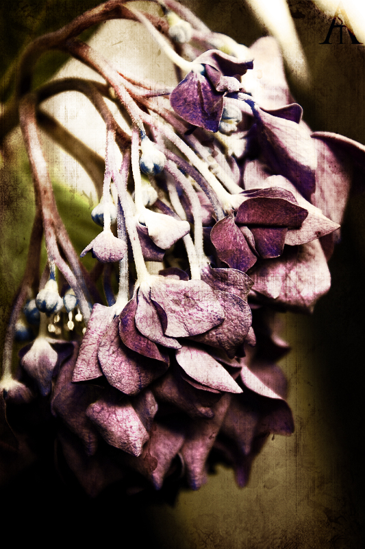 Fading