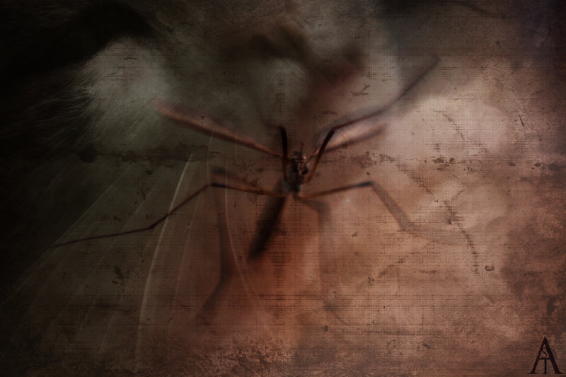 nightmare