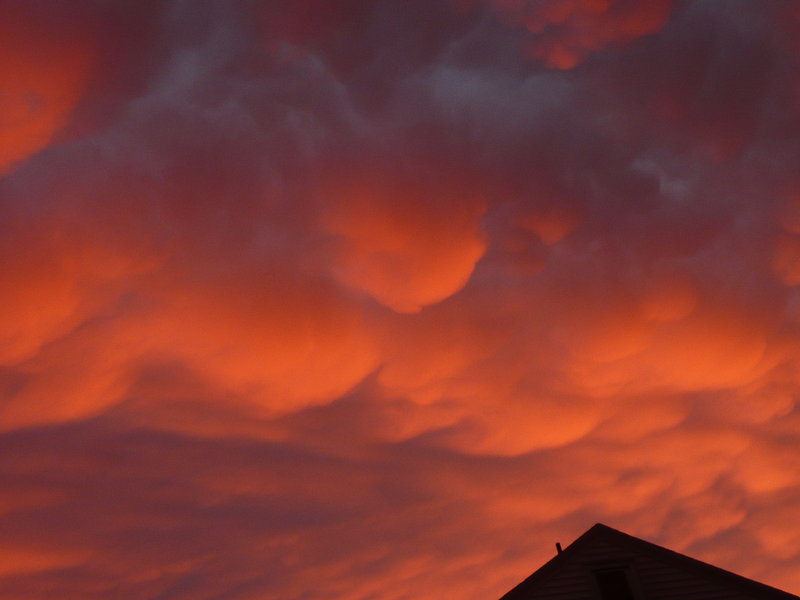 Red Cotton Clouds