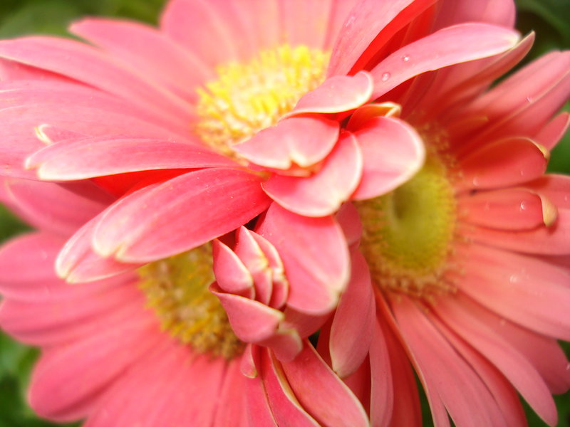 Beauty in Three