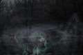 On-a-Ghostly-Night 2.jpg 