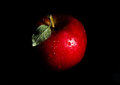 Apple (1 of 1).jpg