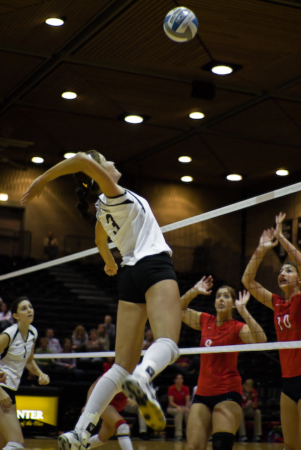 Volleyball example (5 of 5).jpg