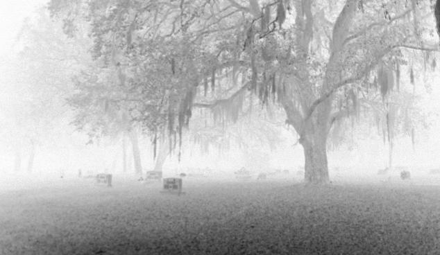 negative graveyard.jpg
