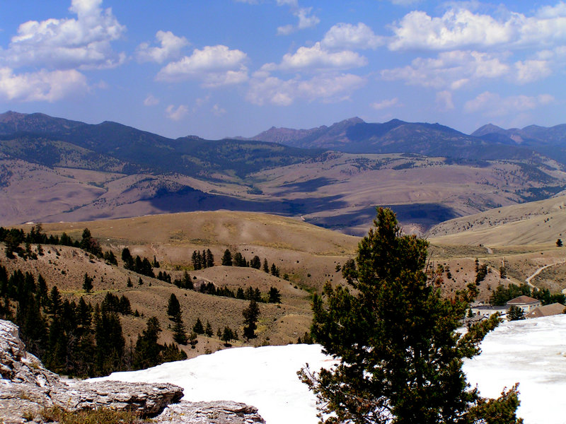 Purple Mountain's Majesty