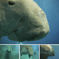Close-Encounters-2-.jpg