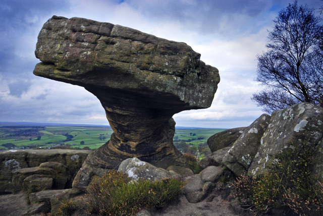 Druid\'s-Writing-Desk-ll.jpg