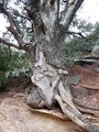 Slide Rock State Park