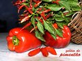label for red bell pepper jam