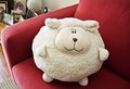 sheep cushion