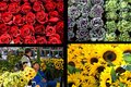 flower market