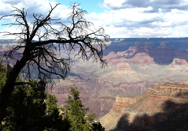 Grand Canyon