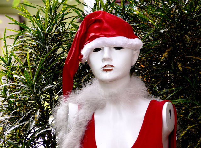 Dressed to Xmas