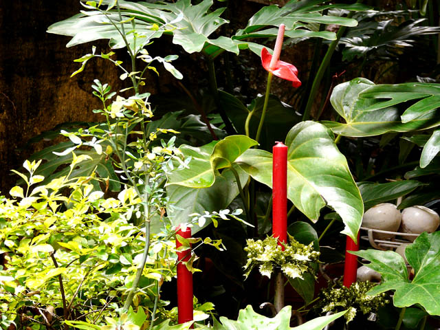 Candles in the garden 