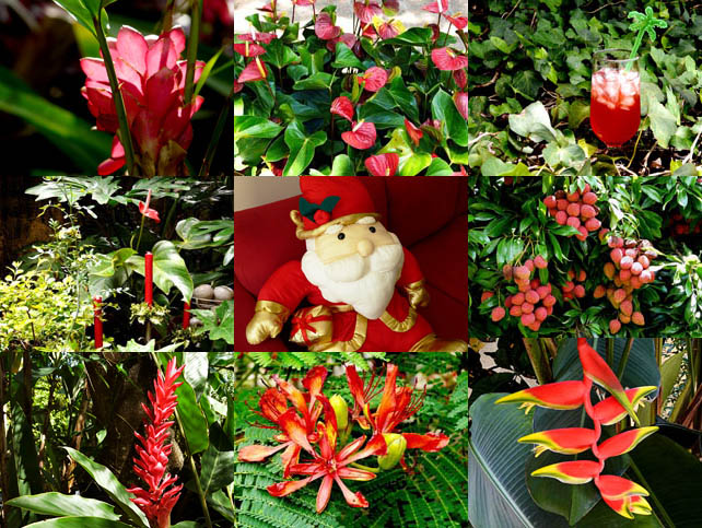 Christmas collage