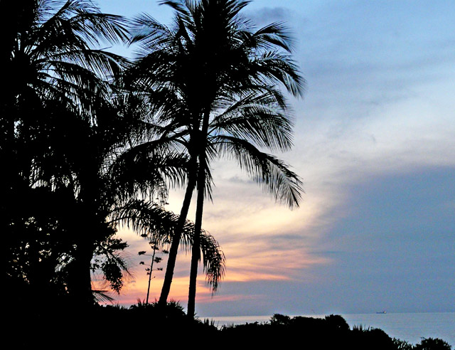sunset