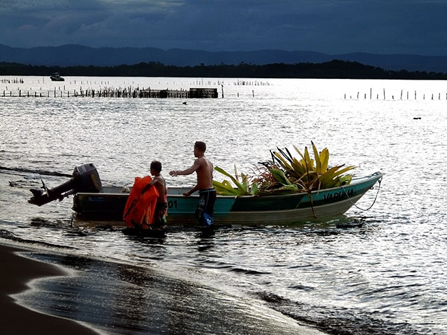 boat & bromeliad