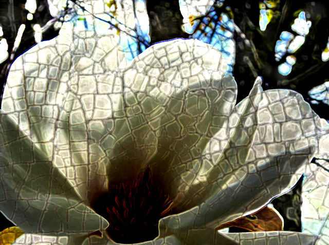 white flower