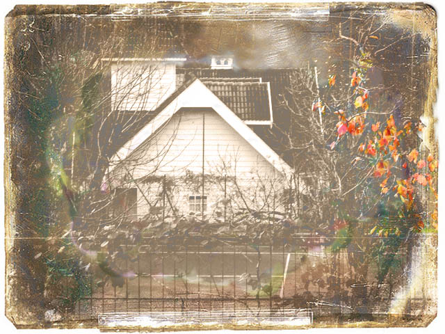 autumn