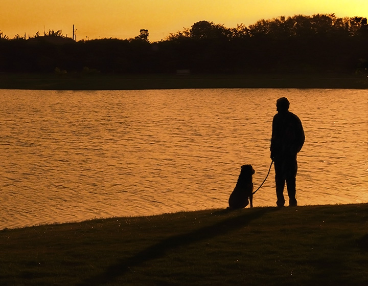 a man and his dog