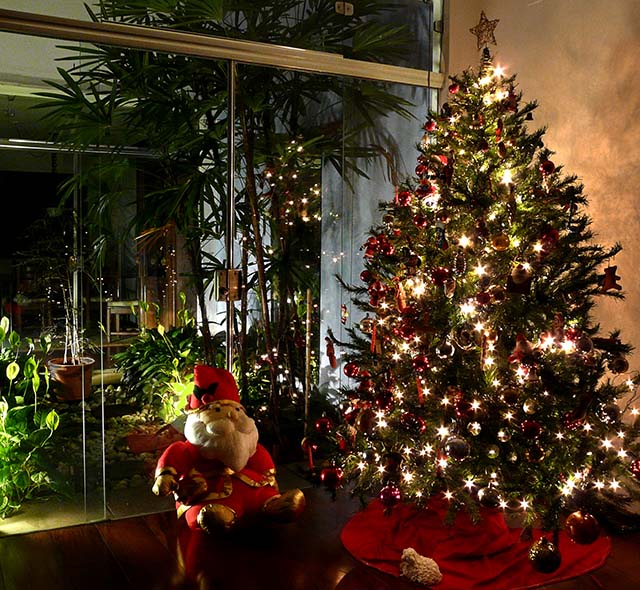 ready for Christmas