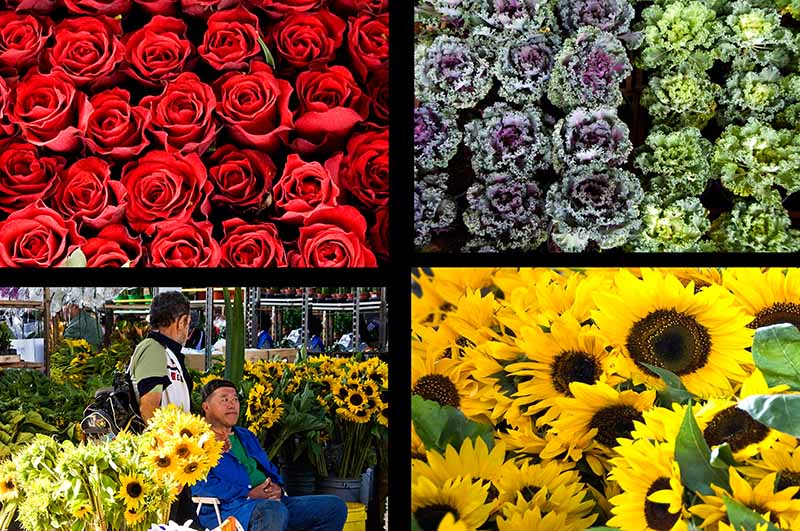 flower market