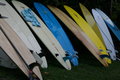 Surf's Up
